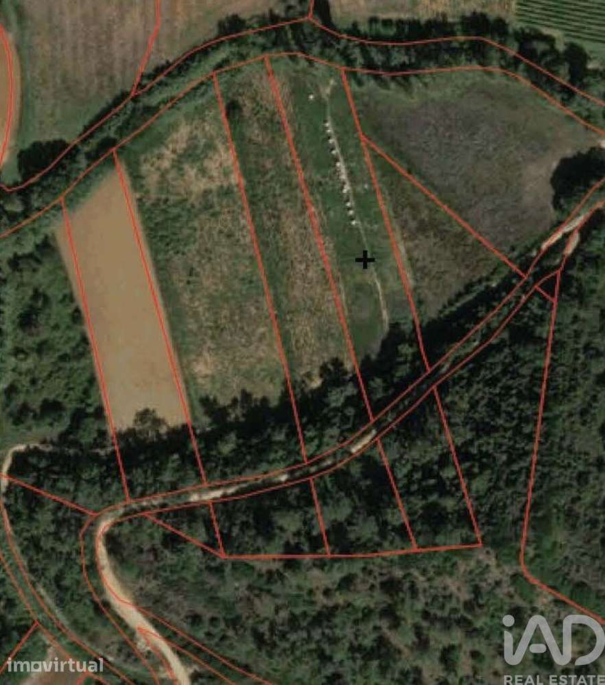 Terreno Agrícola em Santo Isidoro - Grande imagem: 5/5