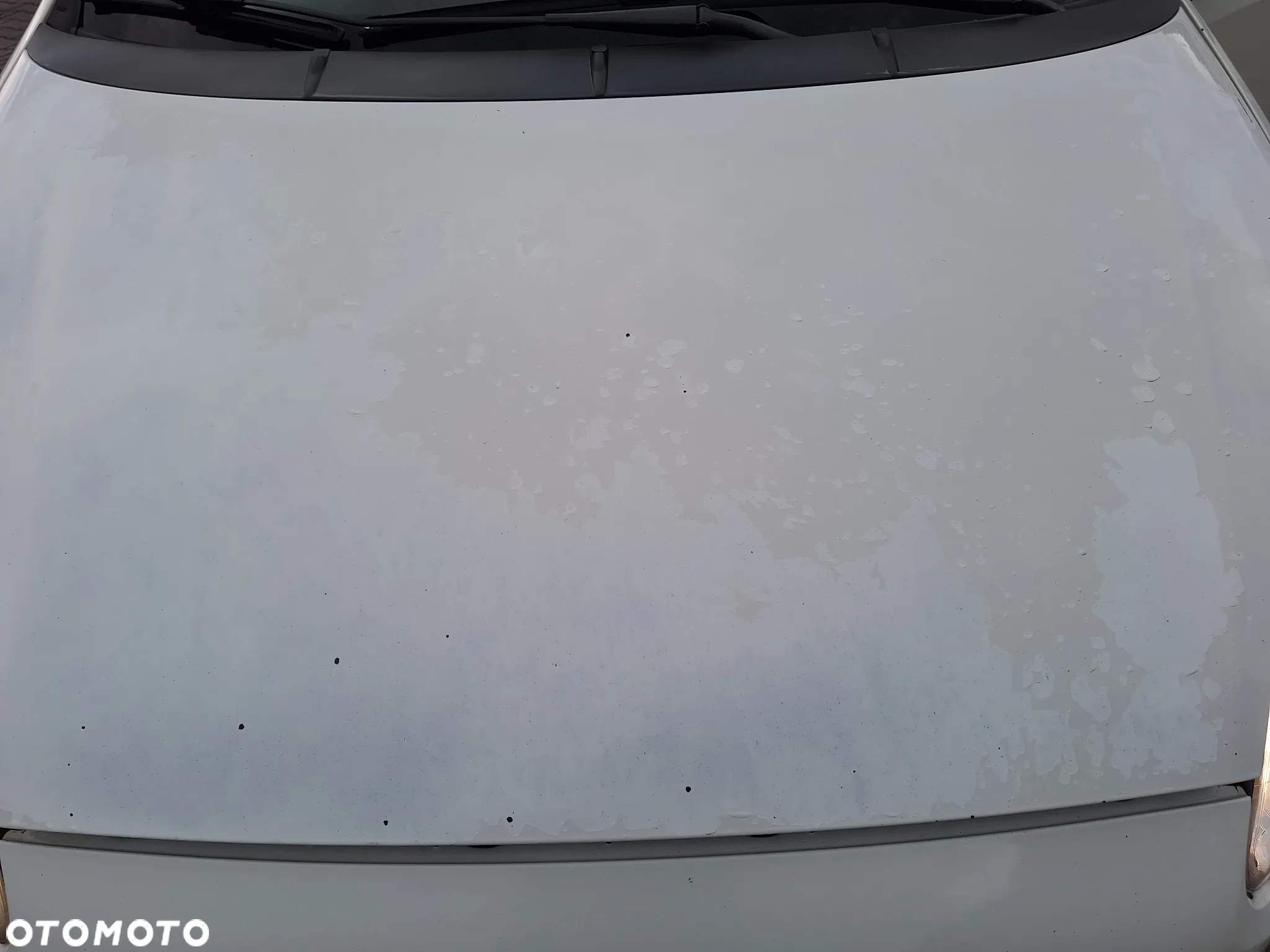 Fiat Punto Van - 14