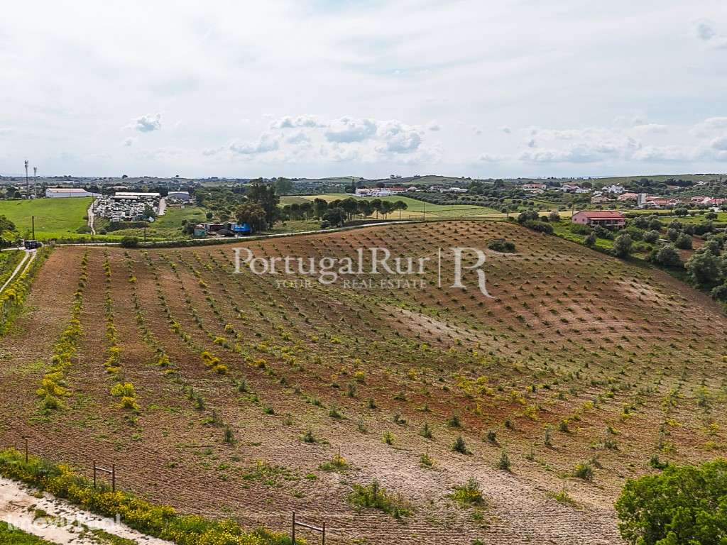Quinta com 4,6 Hectares no Ribatejo - Grande imagem: 2/18