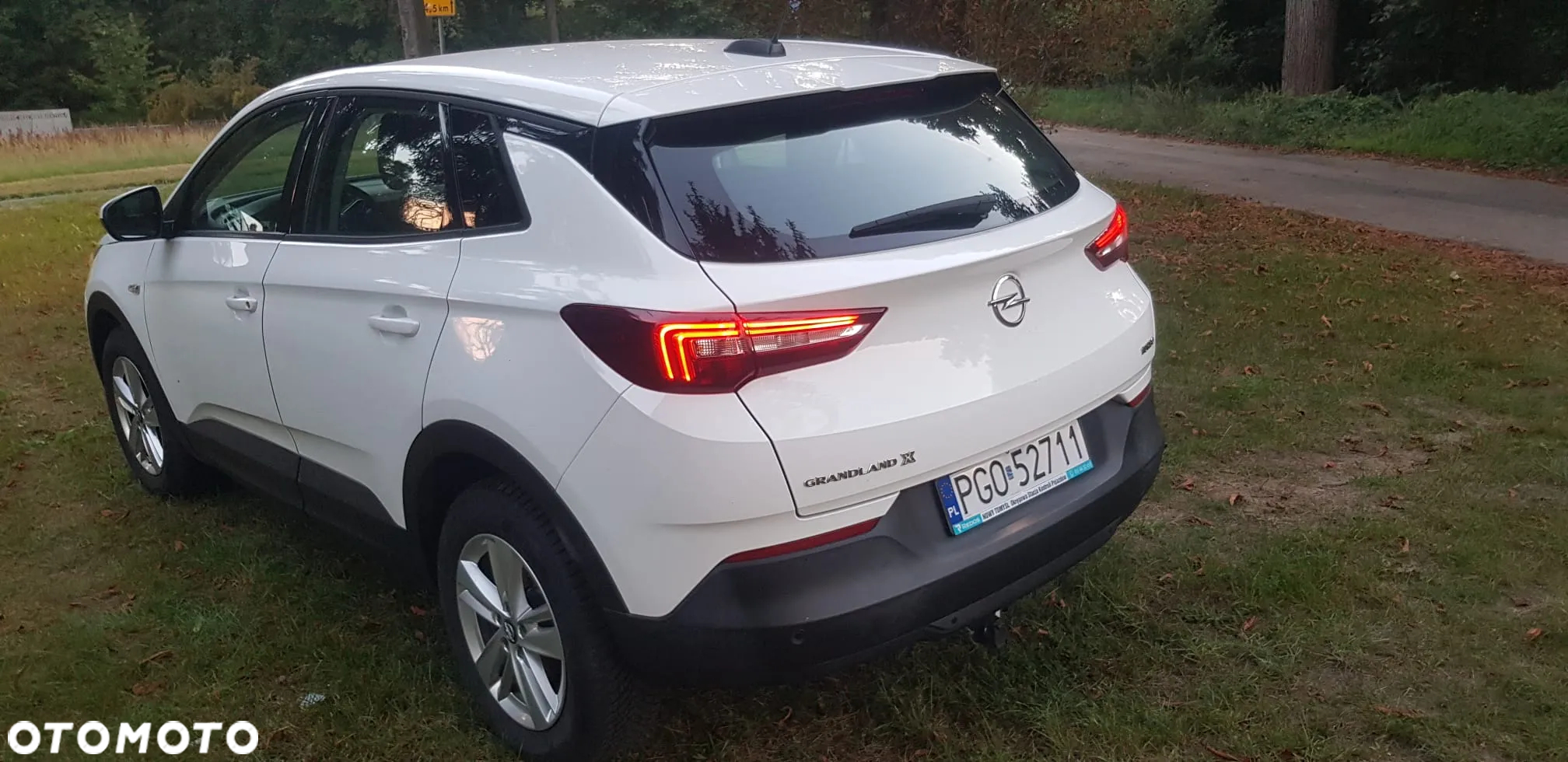 Opel Grandland X 1.2 Start/Stop Design Line - 30