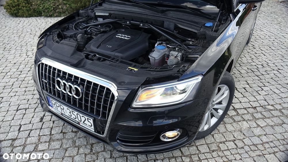 Audi Q5 - 19