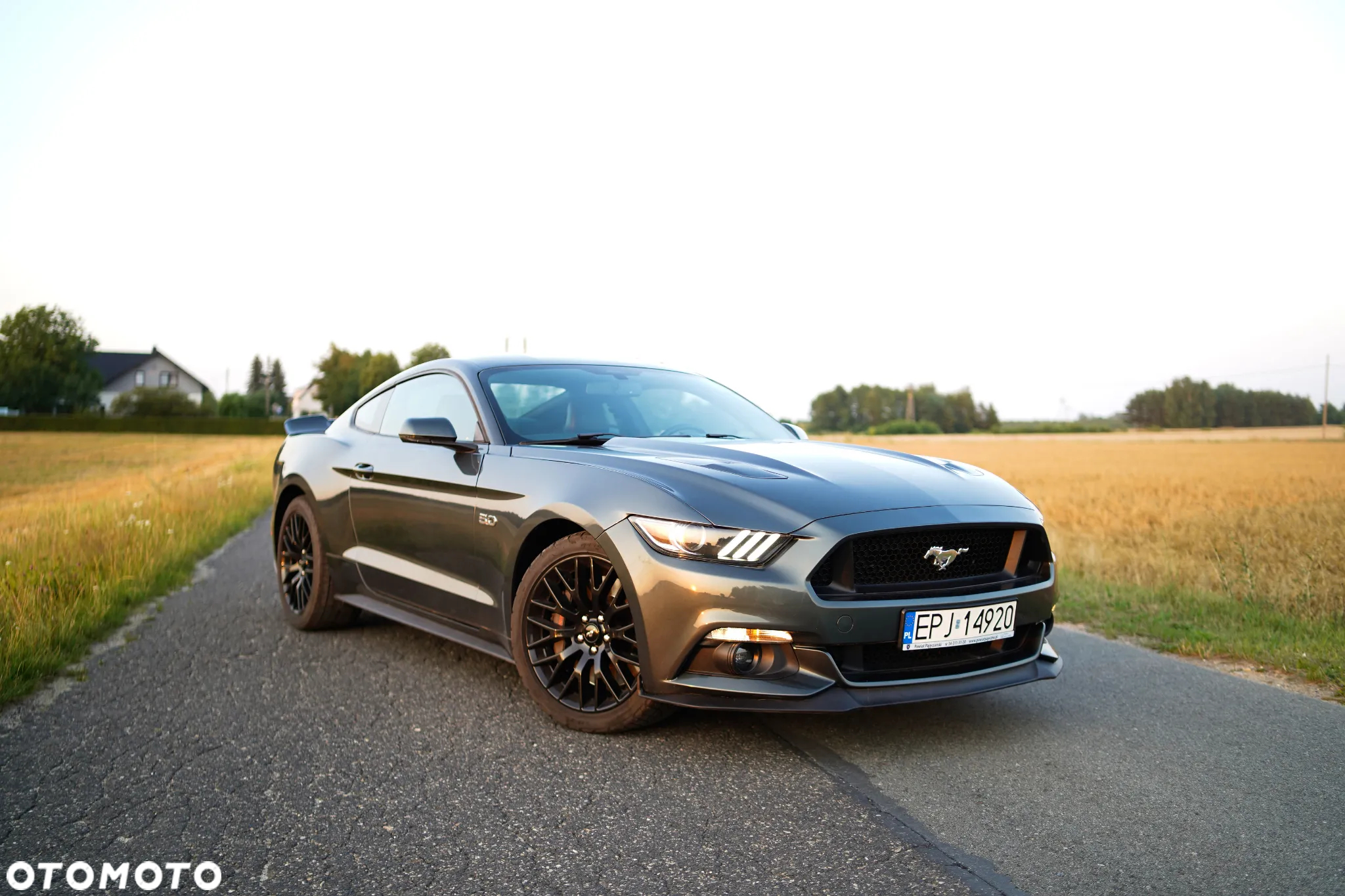 Ford Mustang 5.0 V8 GT - 5