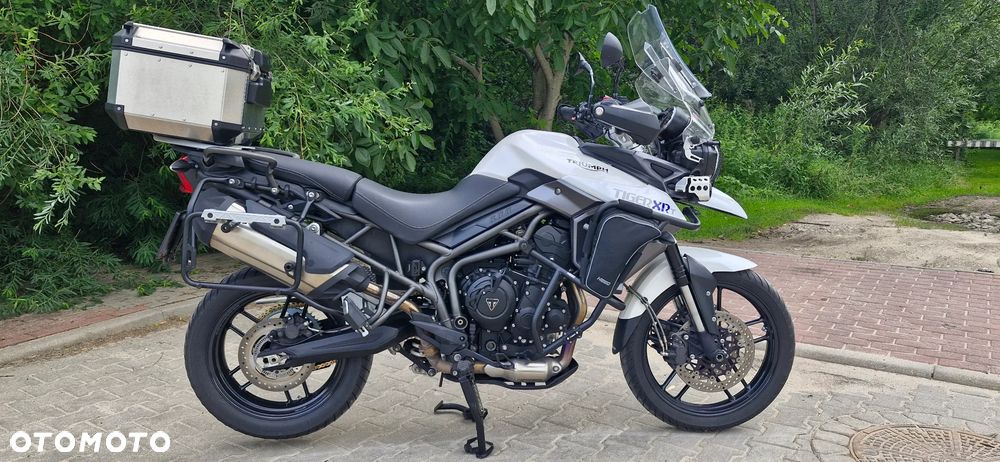 Triumph Tiger - 11