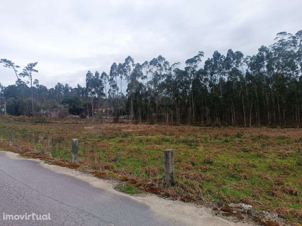 Terreno com uma área total de 10.796 m2 - Grande imagem: 3/5