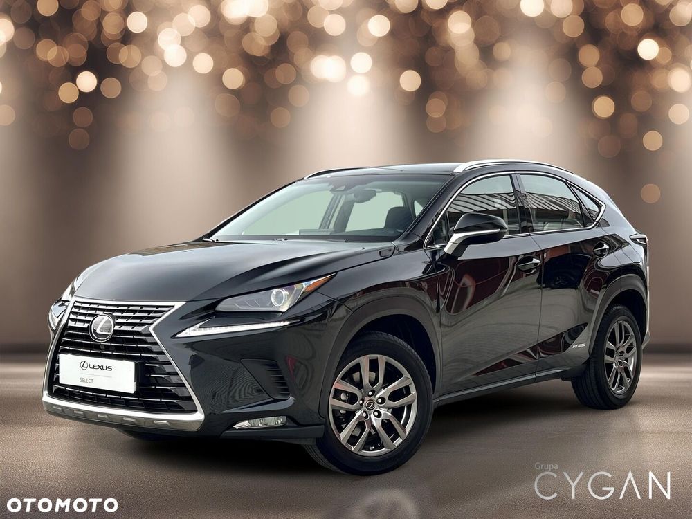 Lexus NX 300h Business Edition AWD