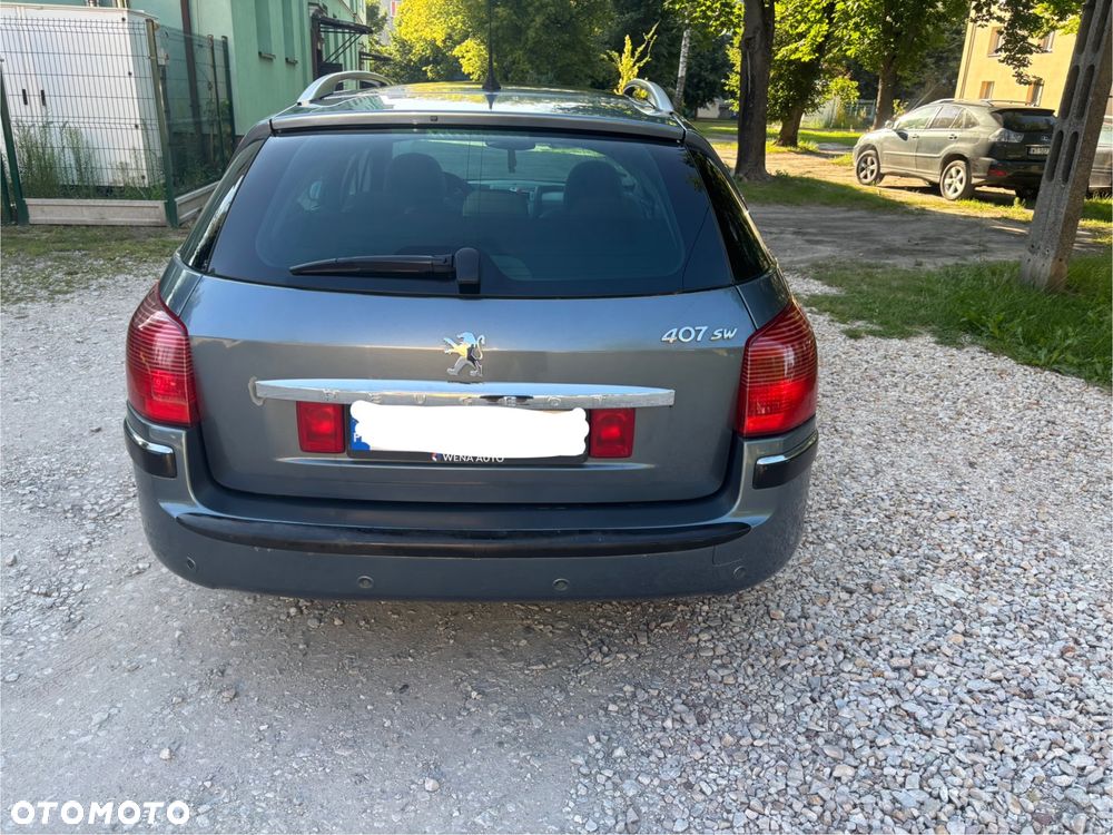 Peugeot 407 - 19