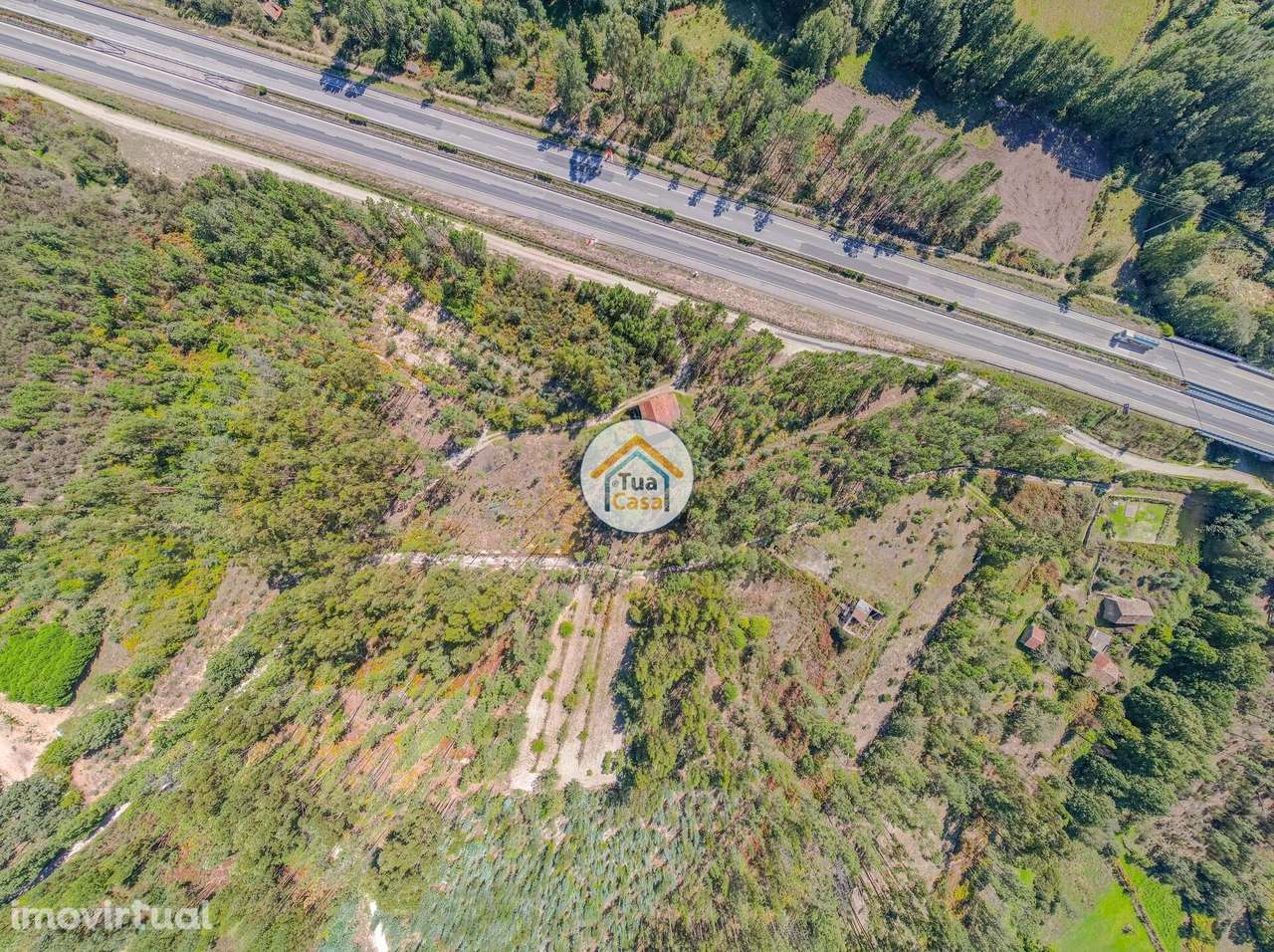 Terreno Rústico em Mangualde - Grande imagem: 3/15