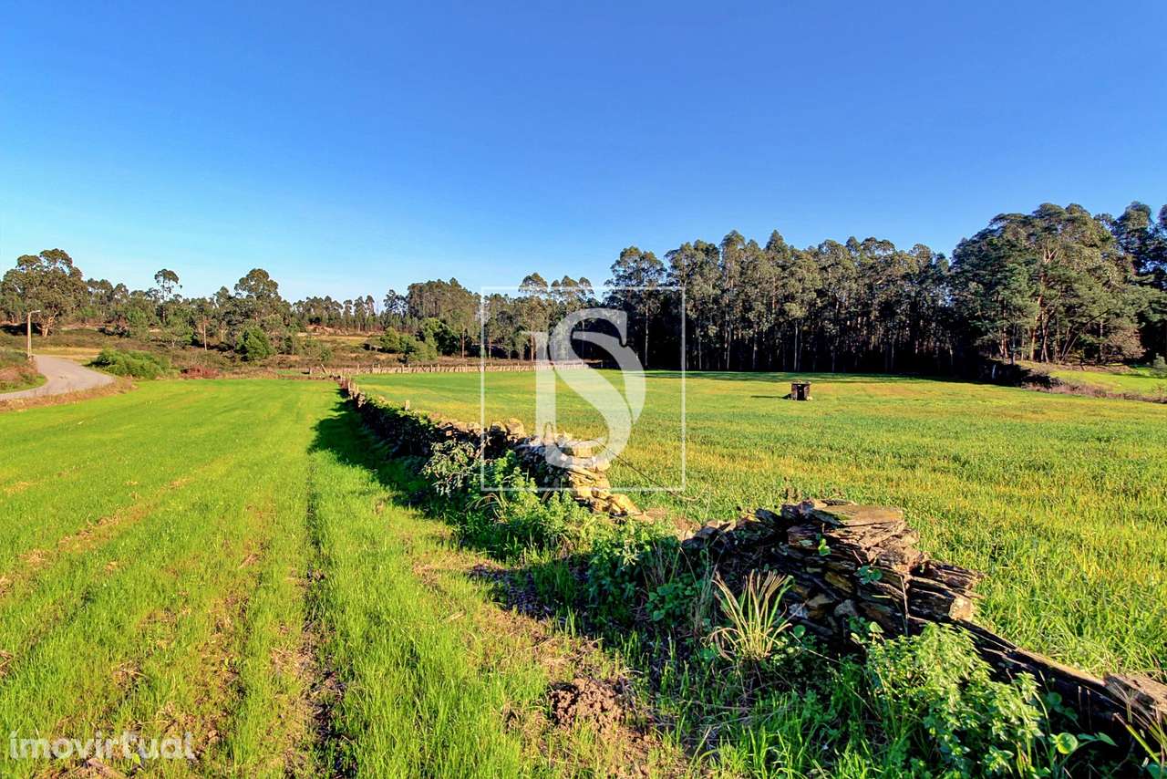Terreno  Venda em Laundos,Póvoa de Varzim - Grande imagem: 4/4