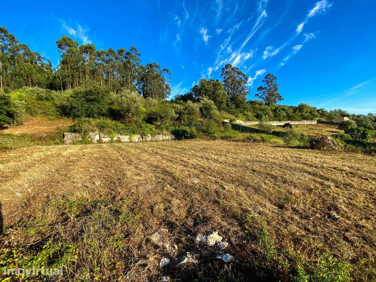 Terreno Rústico Viabilidade de Construção, Carvalhinho, Porto de Mós - Grande imagem: 2/22
