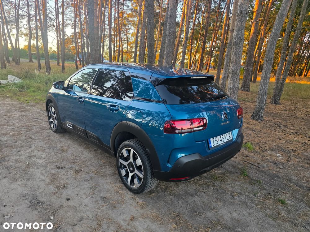 Citroën C4 Cactus 1.2 PureTech Shine S&S - 10