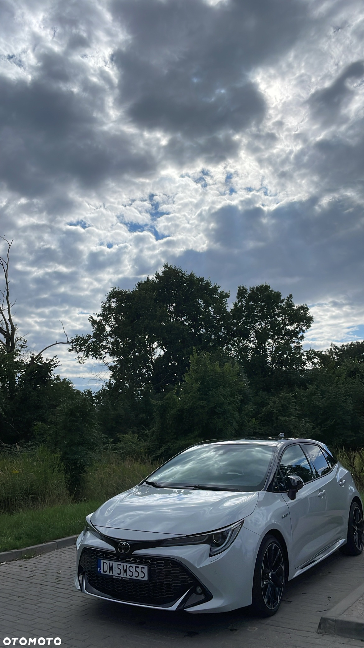 Toyota Corolla - 5