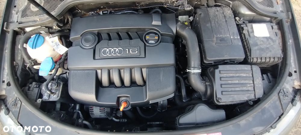 Audi A3 3-drzwiowe 1.6 Attraction - 14