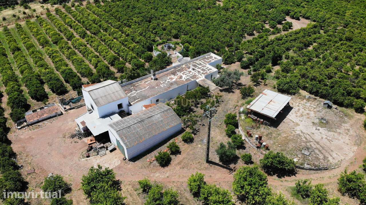 Tavira. Moradia com  implantação de 266 m2 e terreno de 14,5 ha,  em A - Grande imagem: 2/22