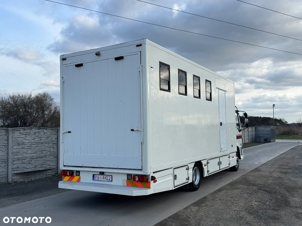 DAF LF 45.170 Koniowóz - 4