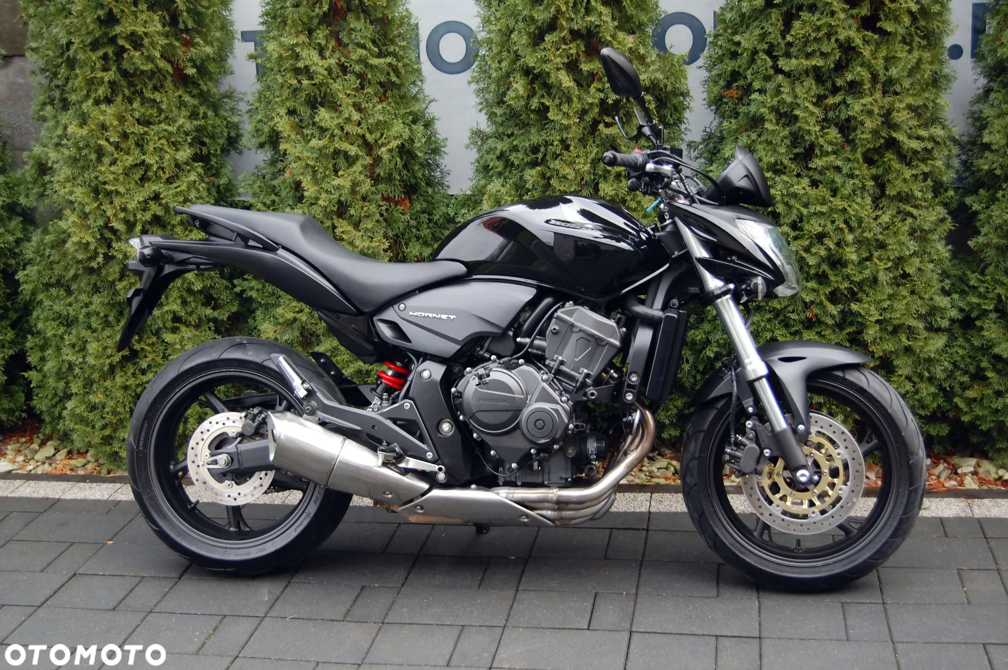 Honda Hornet - 2