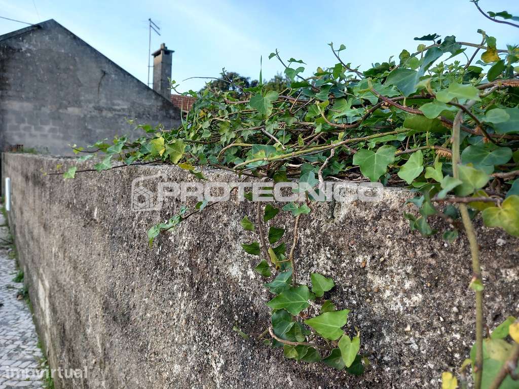 Terreno p/ Moradia Isolada – Aradas - Grande imagem: 5/6