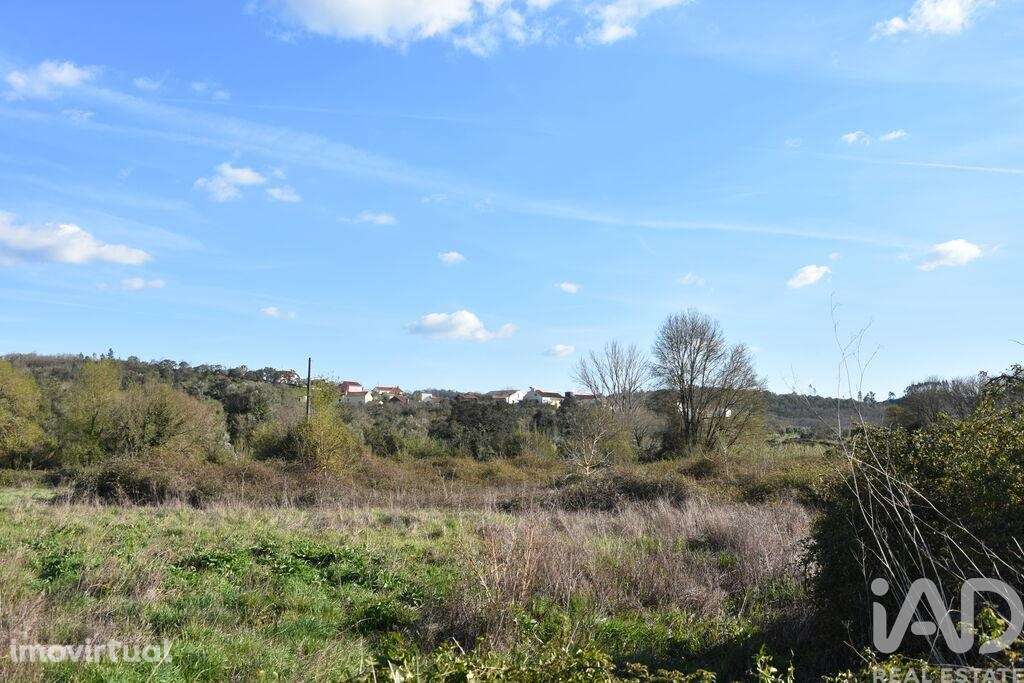 Terreno Agrícola em Chãos - Grande imagem: 2/13