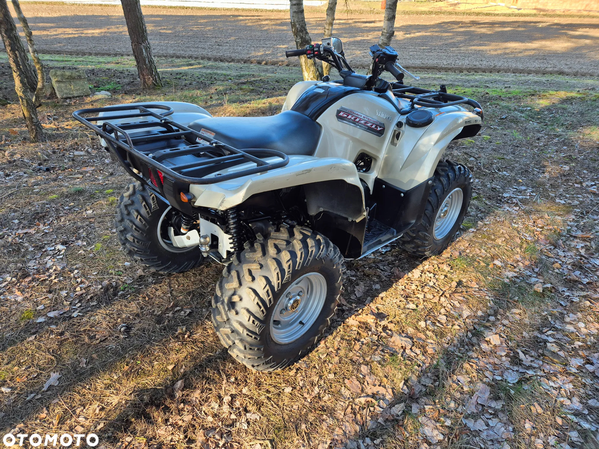 Yamaha Grizzly