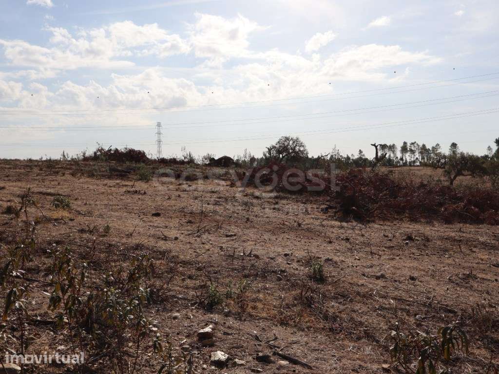 Terreno Rústico de 13,60 Hectares | Benquerenças - Castelo Branco - Grande imagem: 3/7