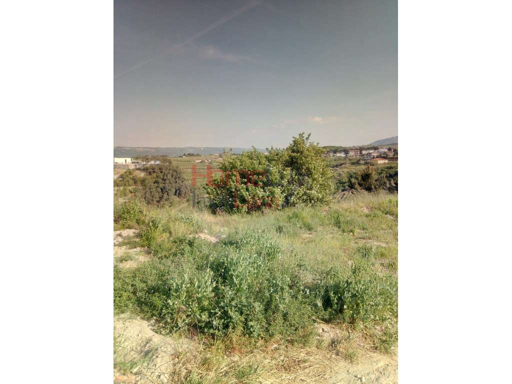 Terreno Urbano - Grande imagem: 2/20