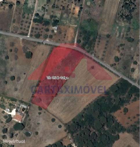 Terreno Rústico  Venda em Vila Chã de Ourique,Cartaxo - Grande imagem: 4/7