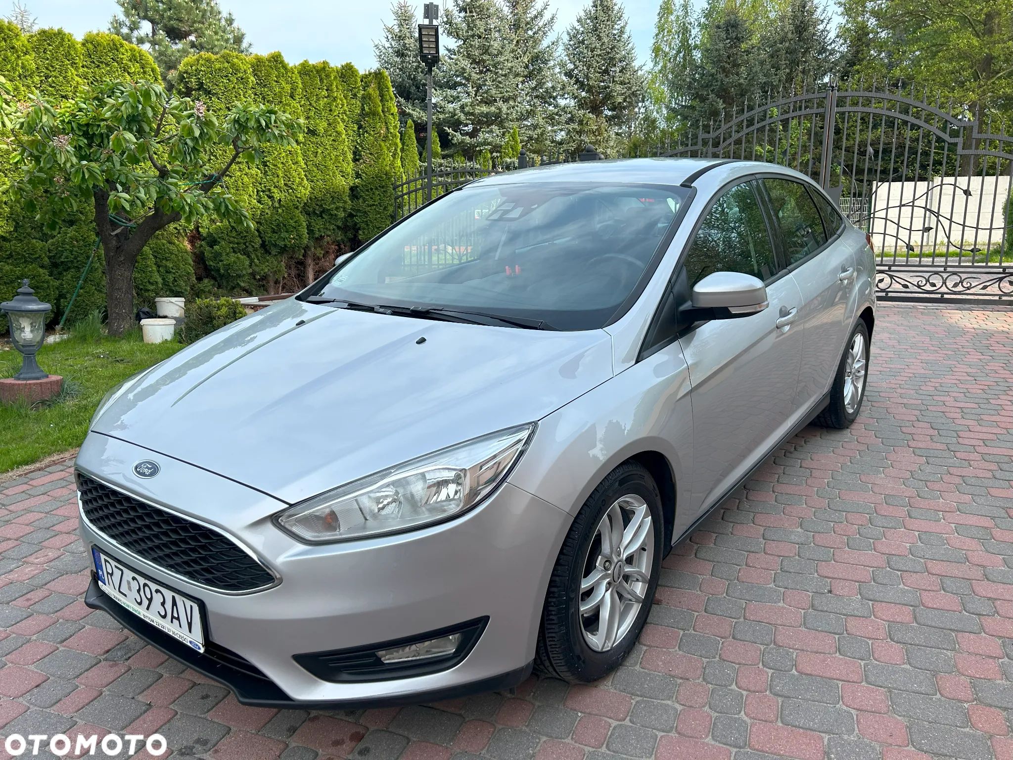 Ford Focus - 1