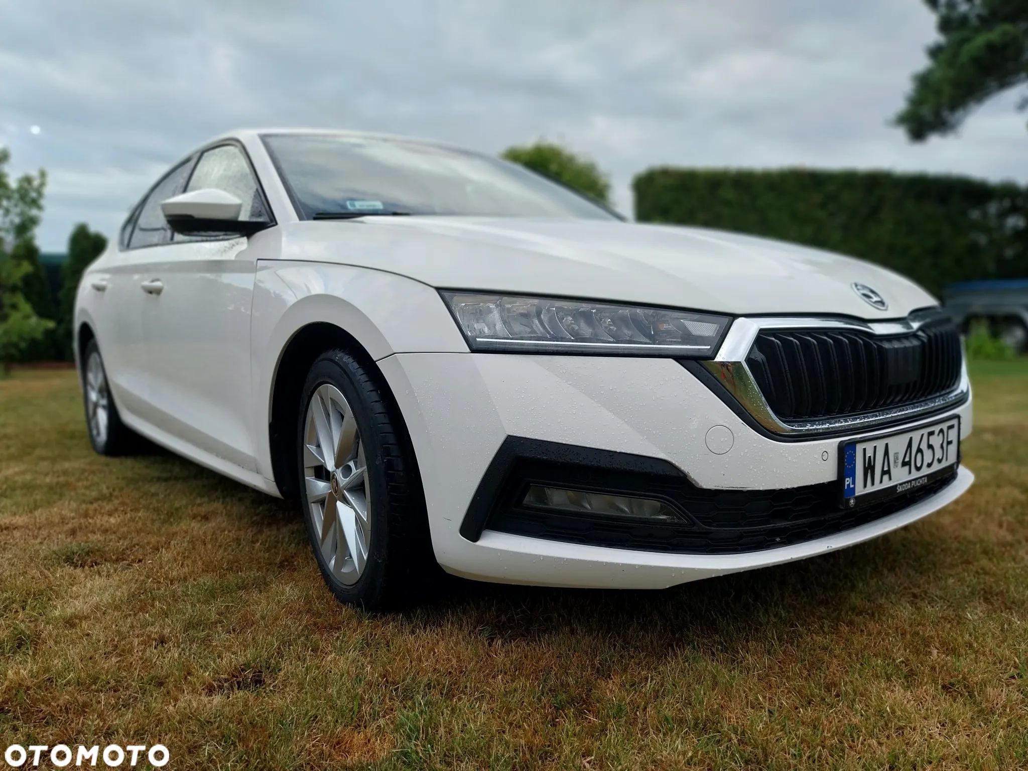 Skoda Octavia 1.5 TSI ACT Ambition - 1