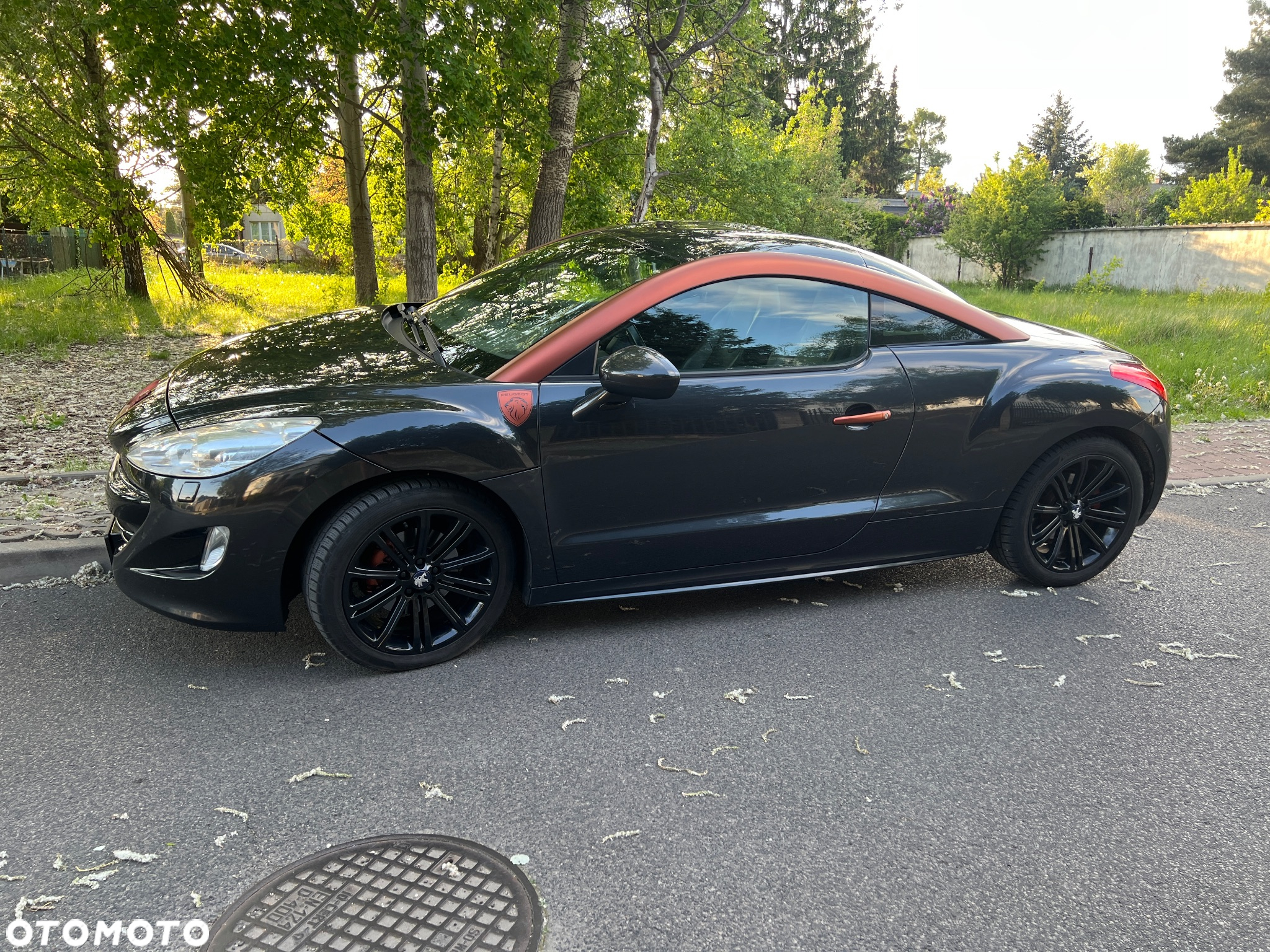 Peugeot RCZ 1.6 THP - 12