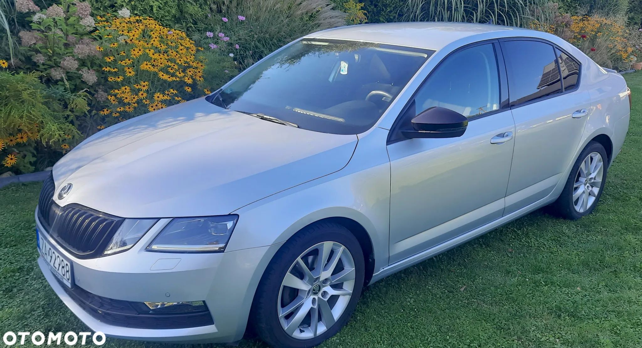 Skoda Octavia 1.5 TSI ACT Style - 1