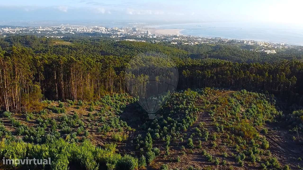 Terreno  para venda - Grande imagem: 5/8