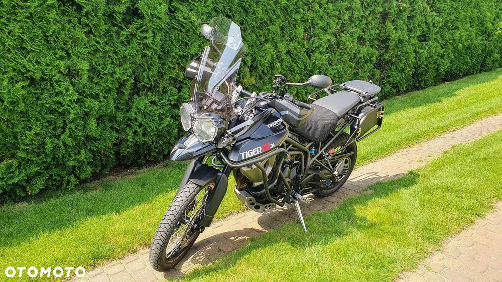 Triumph Tiger - 3
