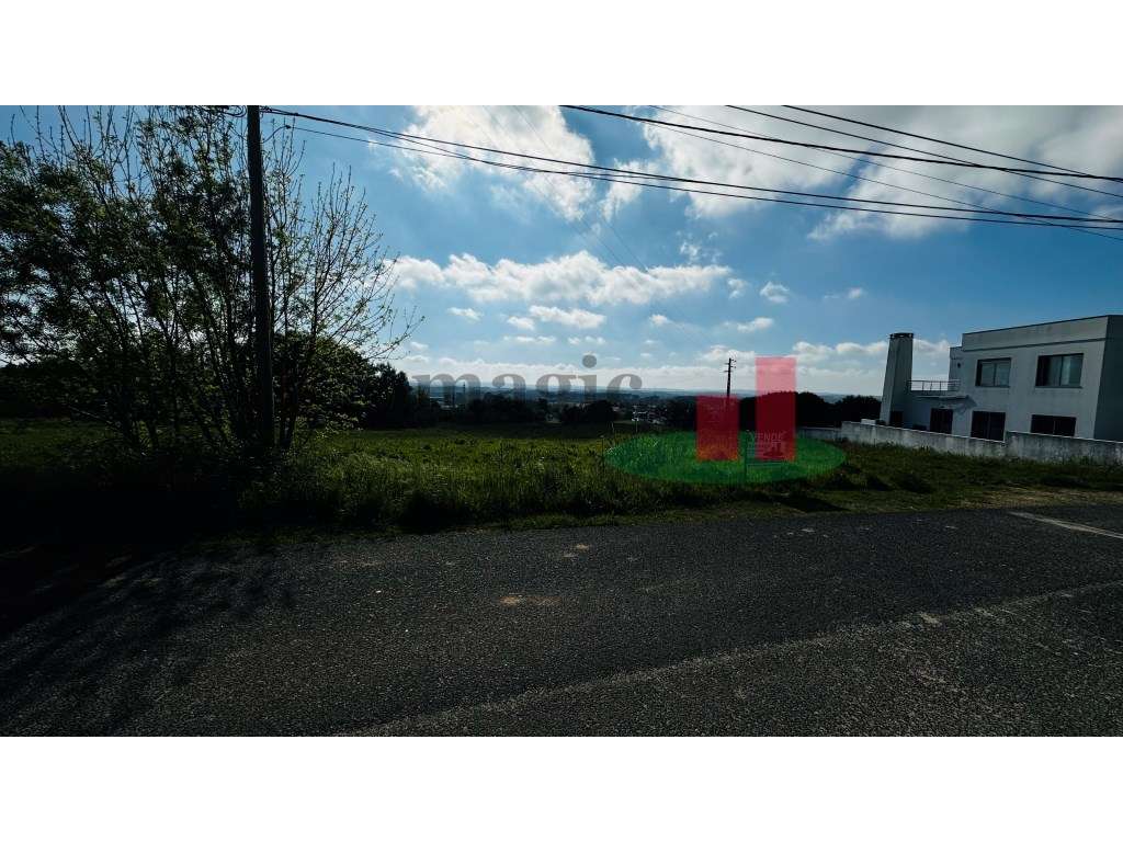 Terreno 1,9ha com Viabilidade Construtiva em Caldas da Rainha - Avenal - Grande imagem: 4/32