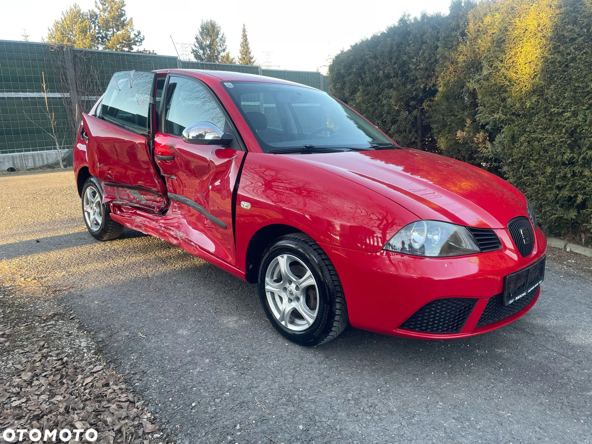 Seat Ibiza - 2