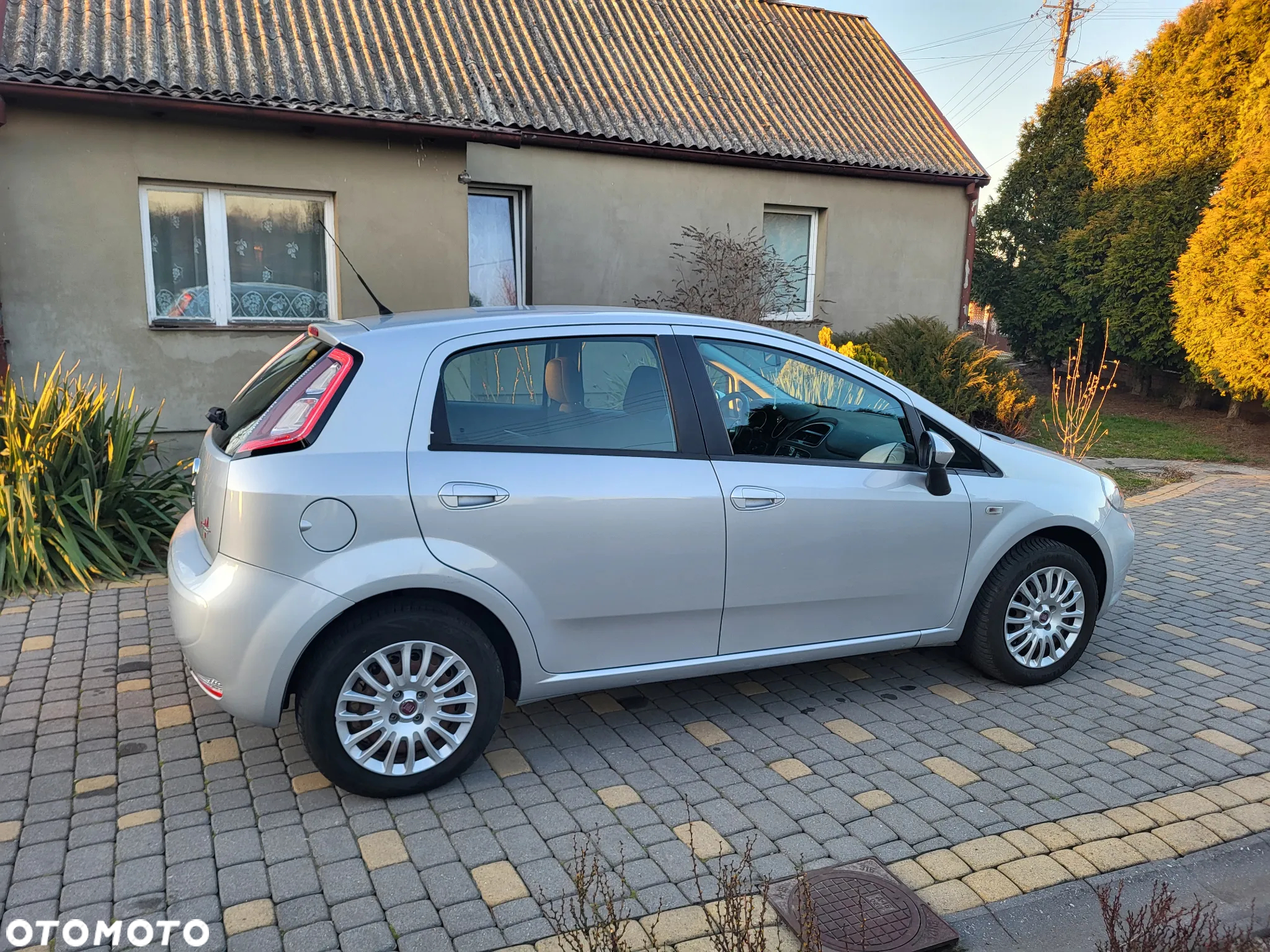 Fiat Punto - 19