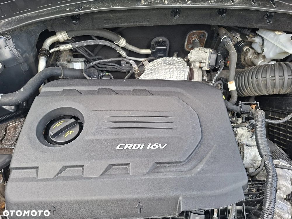 Kia Sportage - 33