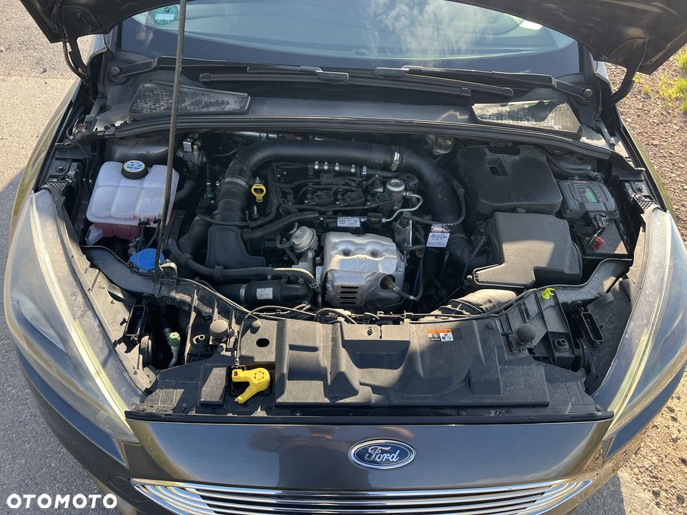Ford Focus - 7