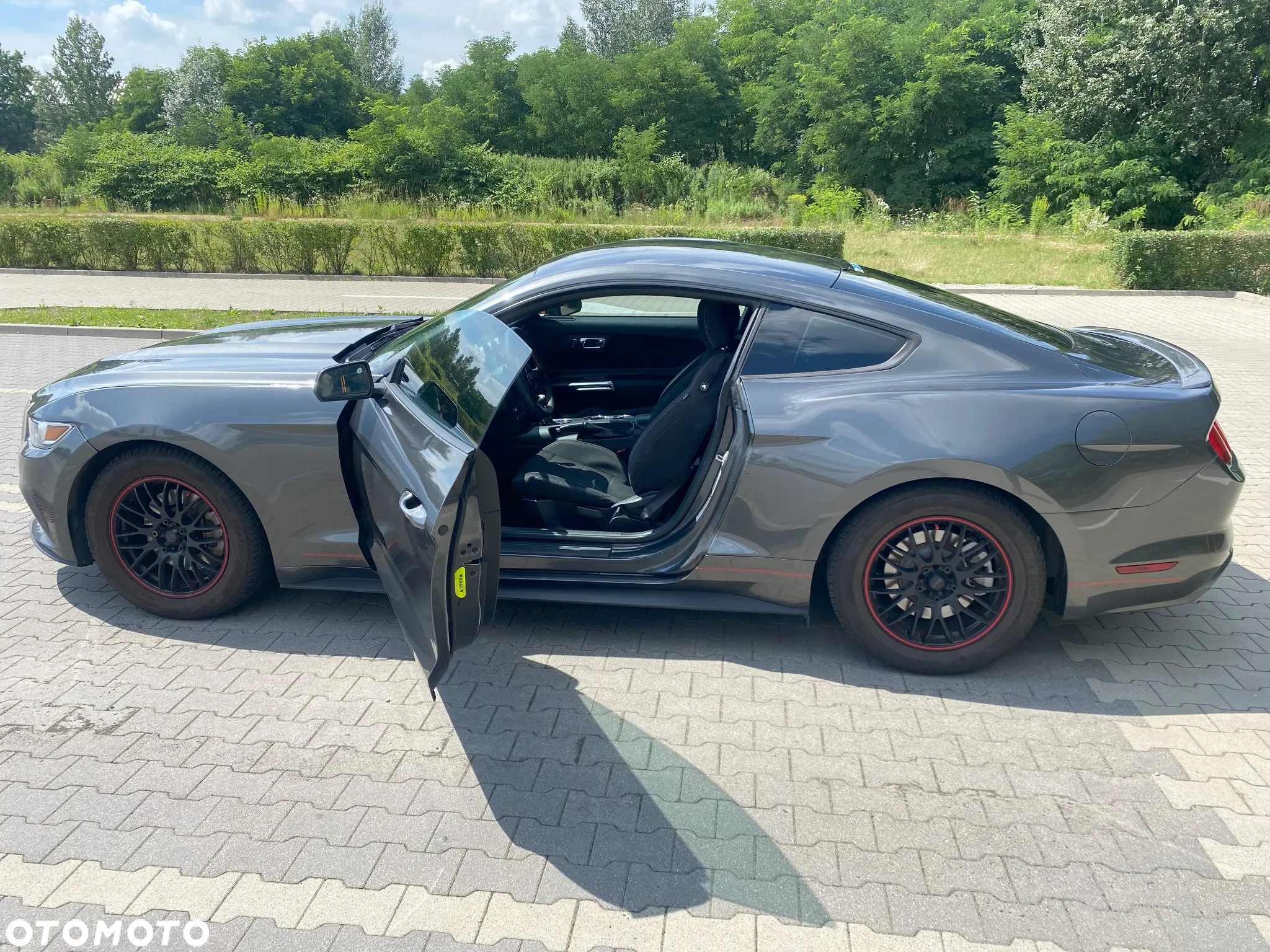 Ford Mustang - 19