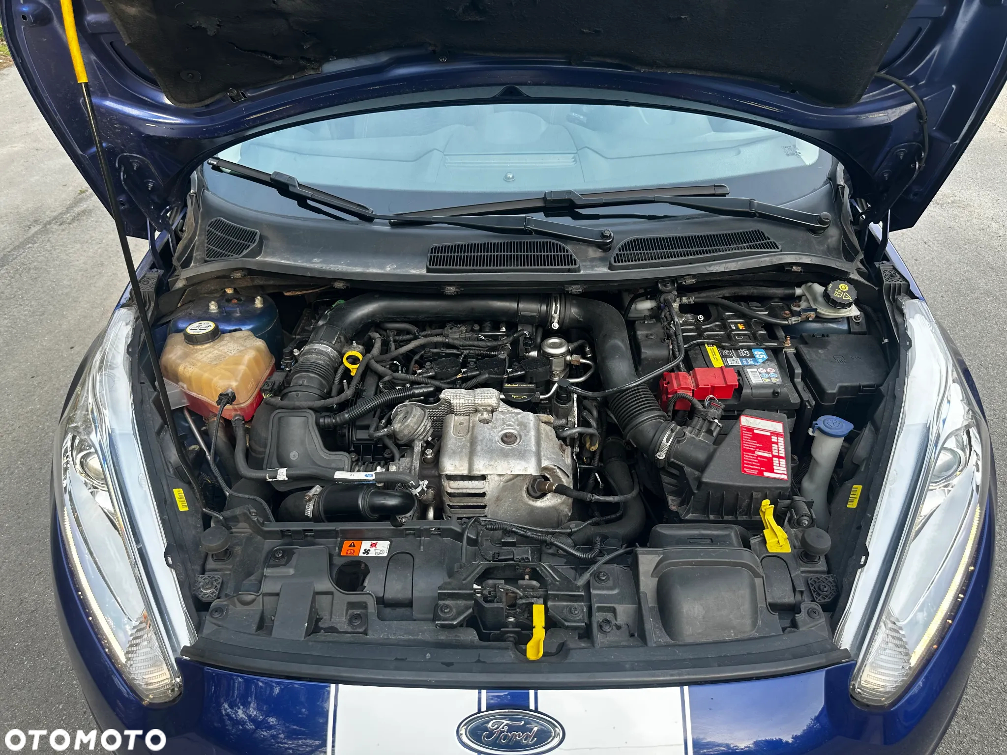 Ford Fiesta - 35