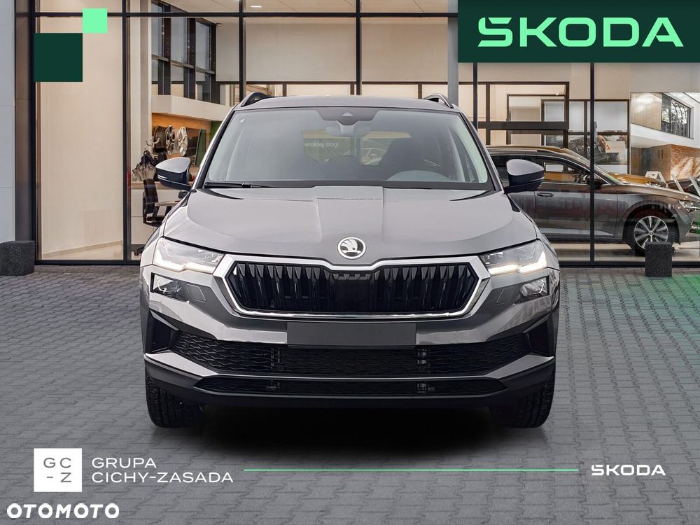 Skoda Karoq - 9