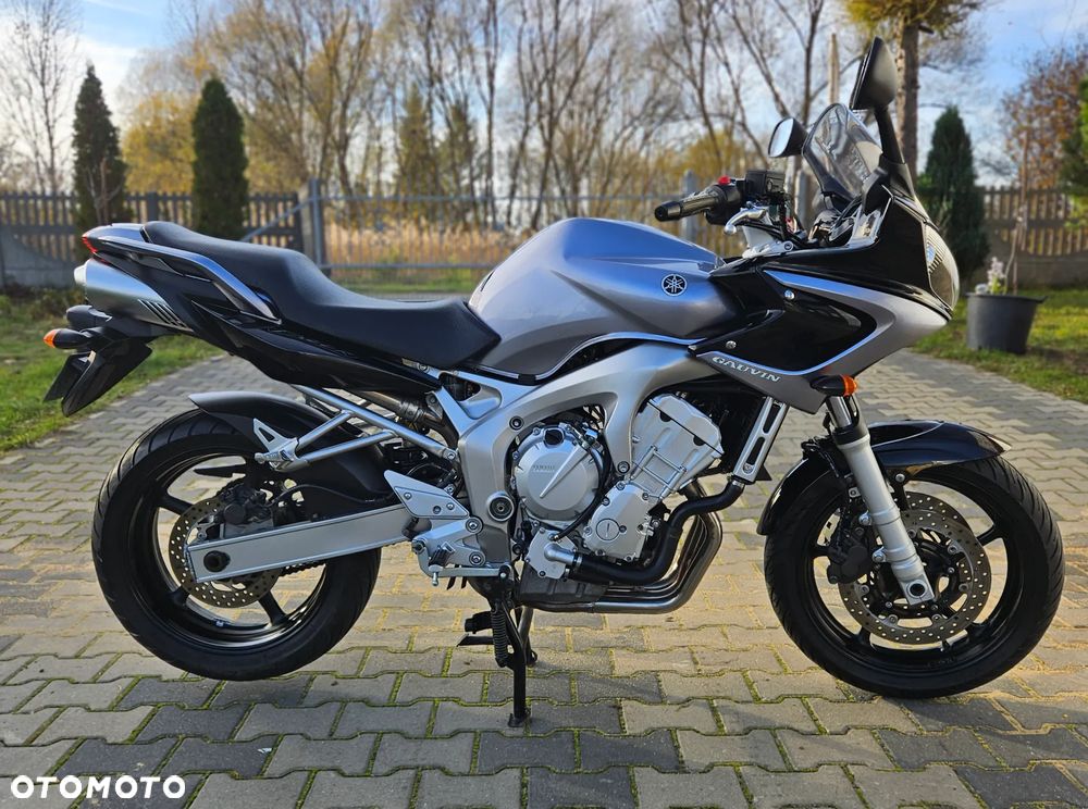 Yamaha FZ6 - 3