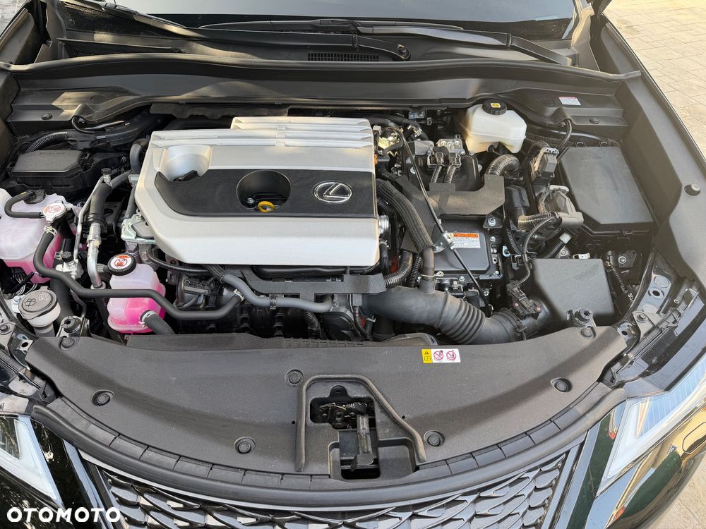 Lexus UX 250h F Sport 2WD - 13