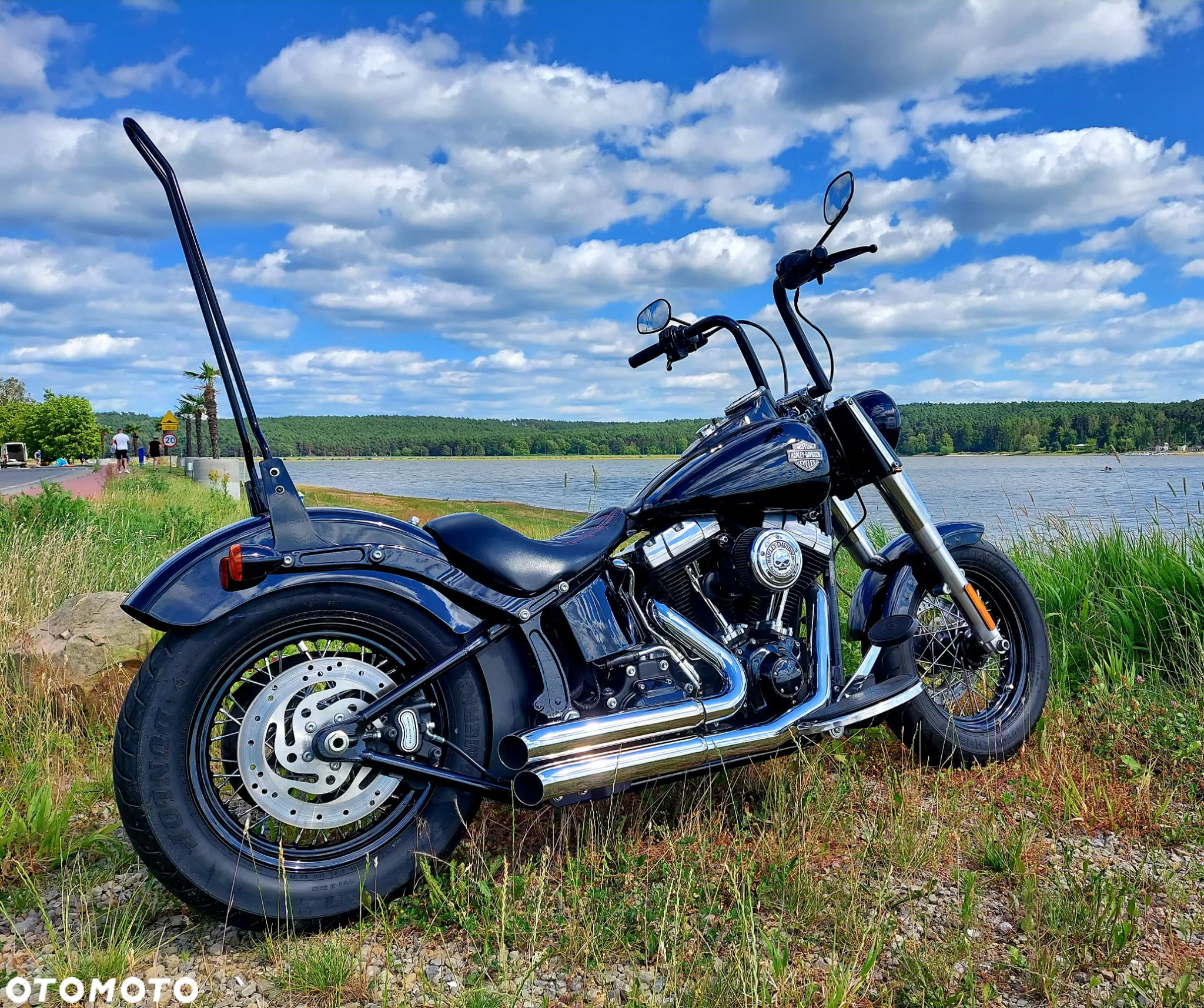 Harley-Davidson Softail Slim - 12