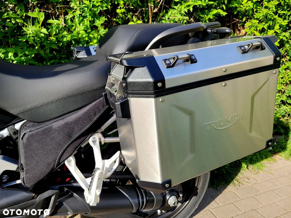 Triumph Tiger - 4
