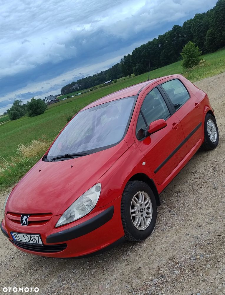Peugeot 307 1.4 XR - 14