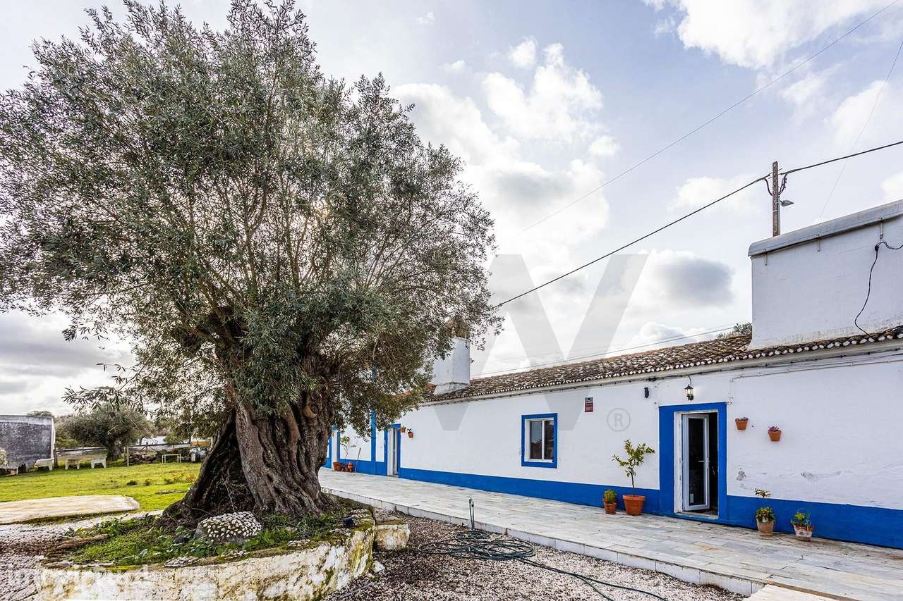 Monte Alentejano com 2 piscinas a 16 min. de Évora - Grande imagem: 2/49