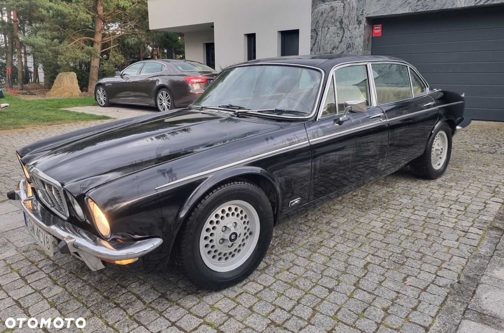 Jaguar Inny - 2