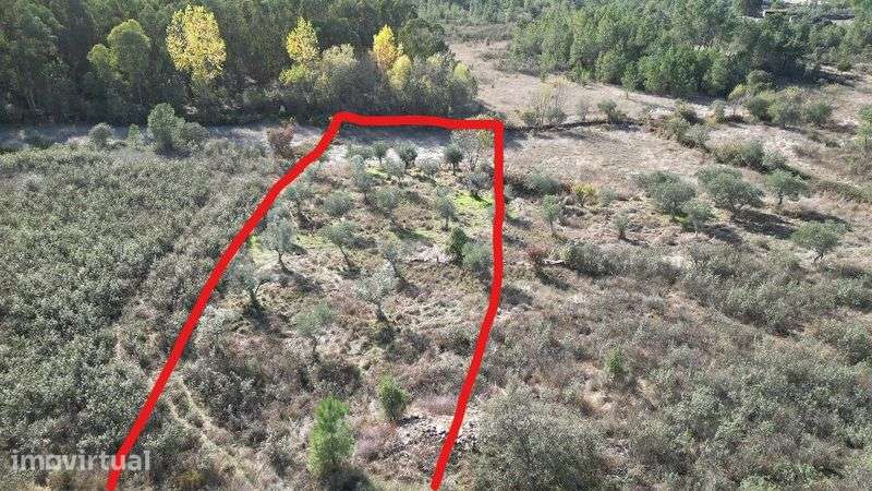 Terreno Rústico - 8320m2