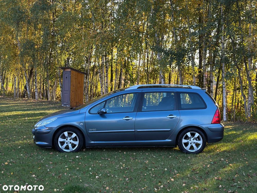Peugeot 307 2007 photo 2
