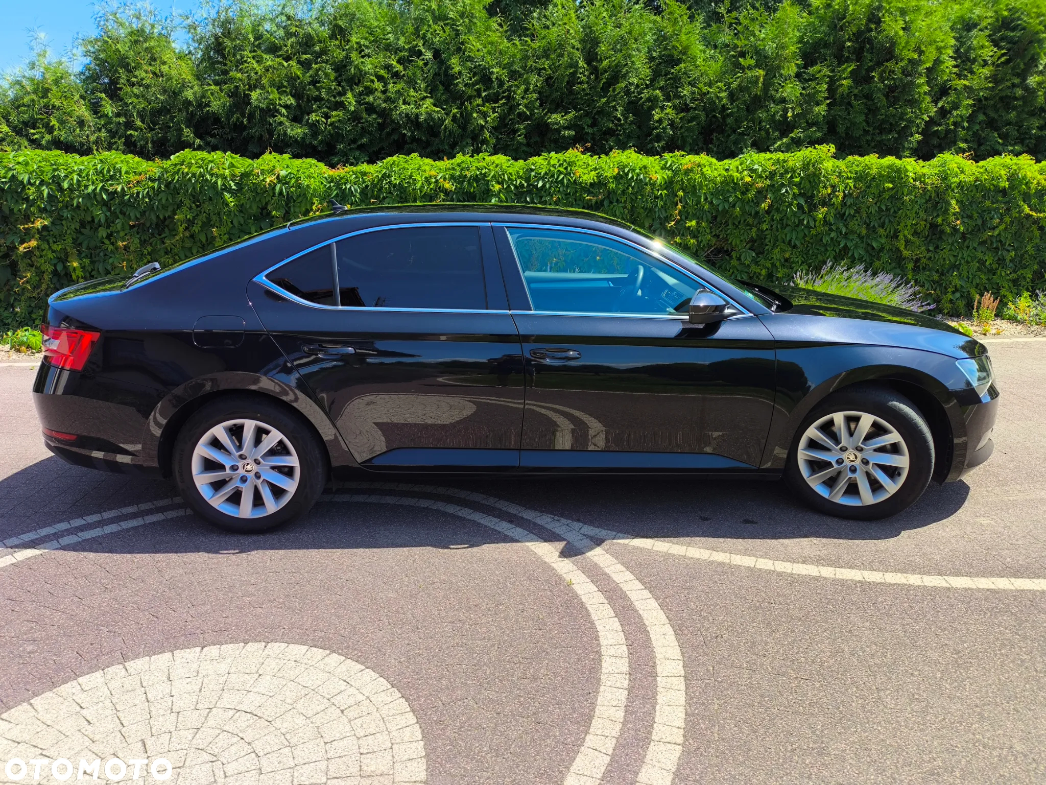 Skoda Superb - 10