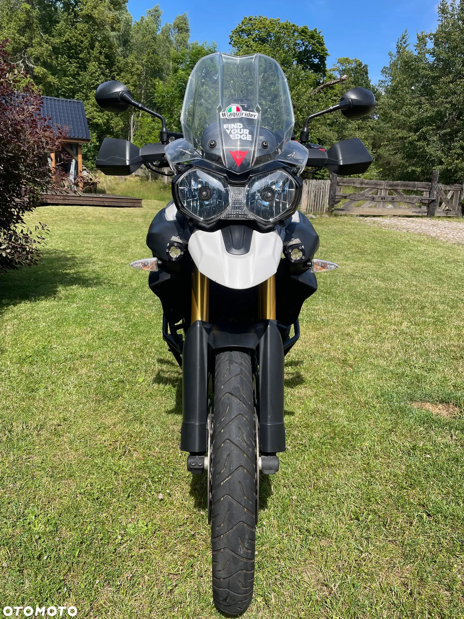Triumph Tiger - 14